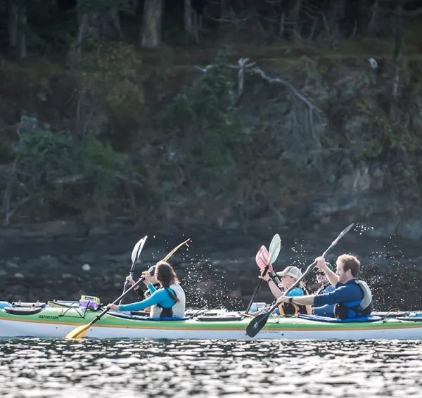 Orca Search by Kayak