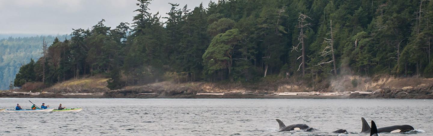 San Juan Outfitters in the San Juan Islands