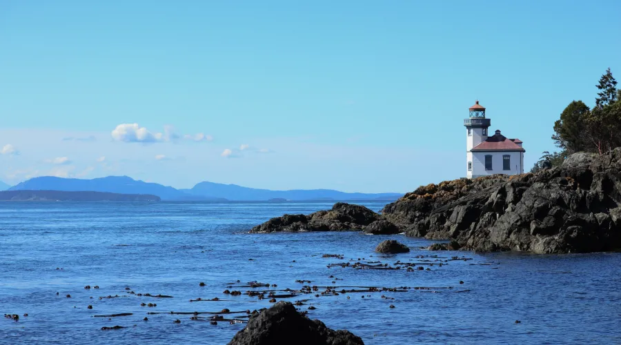 West Side Killer Whale Sanctuary Tour