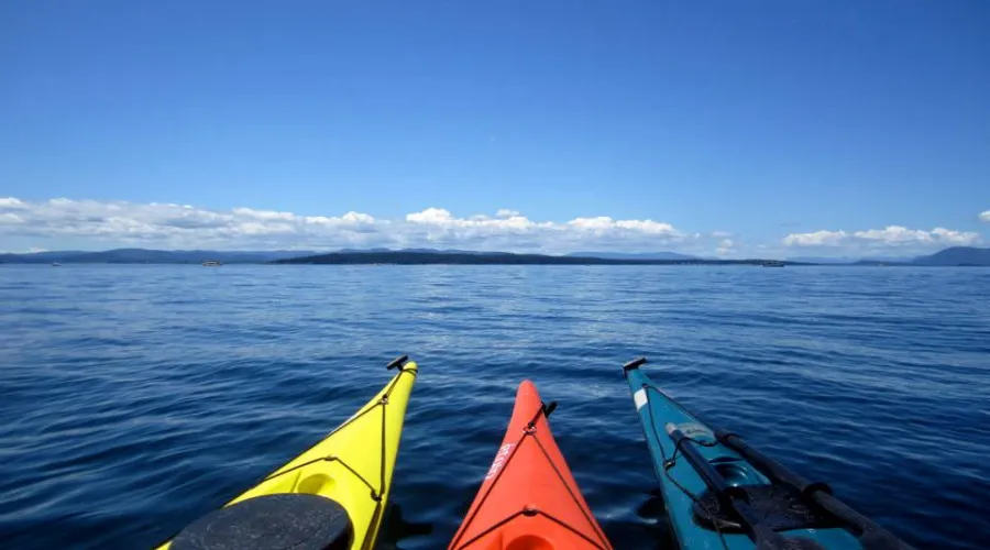 Friday Harbor 3 Hour Kayak Tour