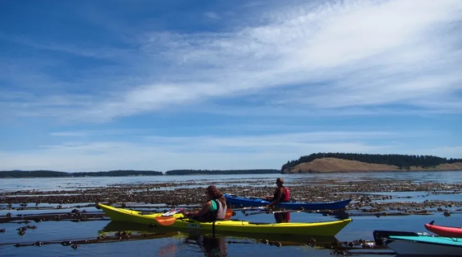 Roche Harbor 3 Hour Sea Kayak Tour