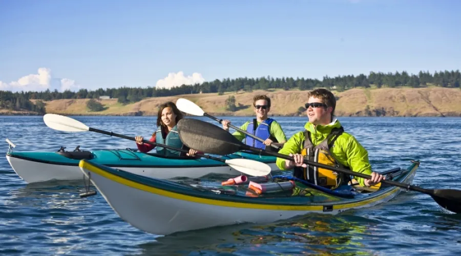 Friday Harbor 3 Hour Kayak Tour