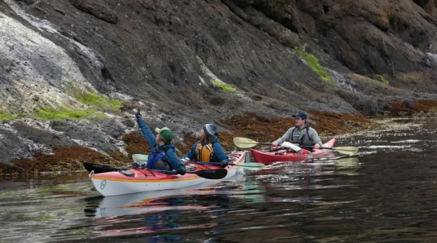 Whale Sanctuary Kayaking Tour