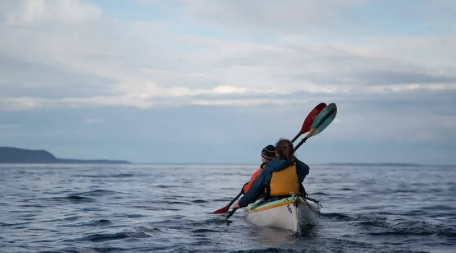 Whale Sanctuary Kayaking Tour