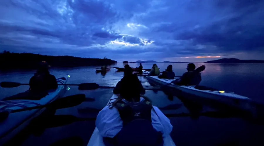 Kayaks on a bioluminescent guided tour