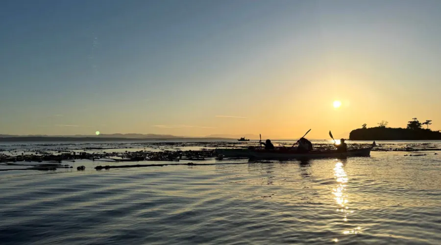 A triple kayak in the glow of an early sunset on San Juan Island