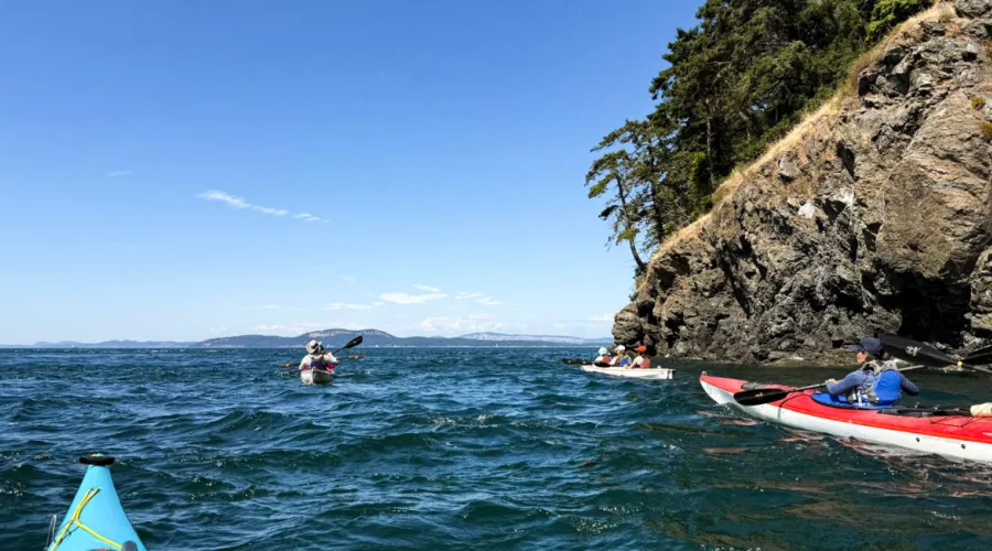 Multiple kayaks on a day kayak on San Juan Island