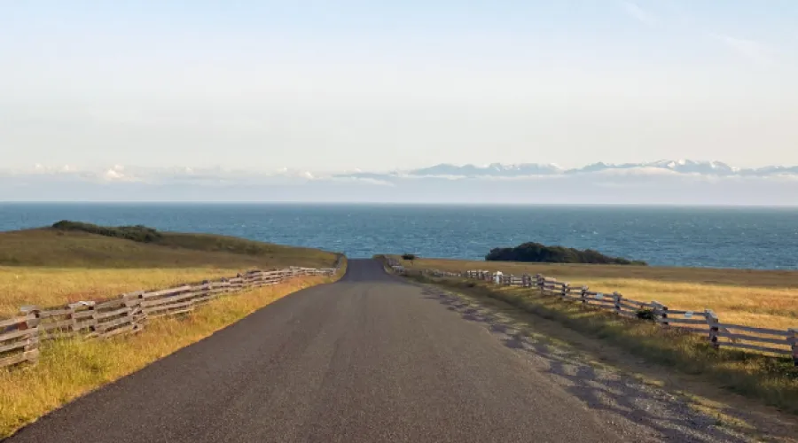Road to South Beach on San Juan Island