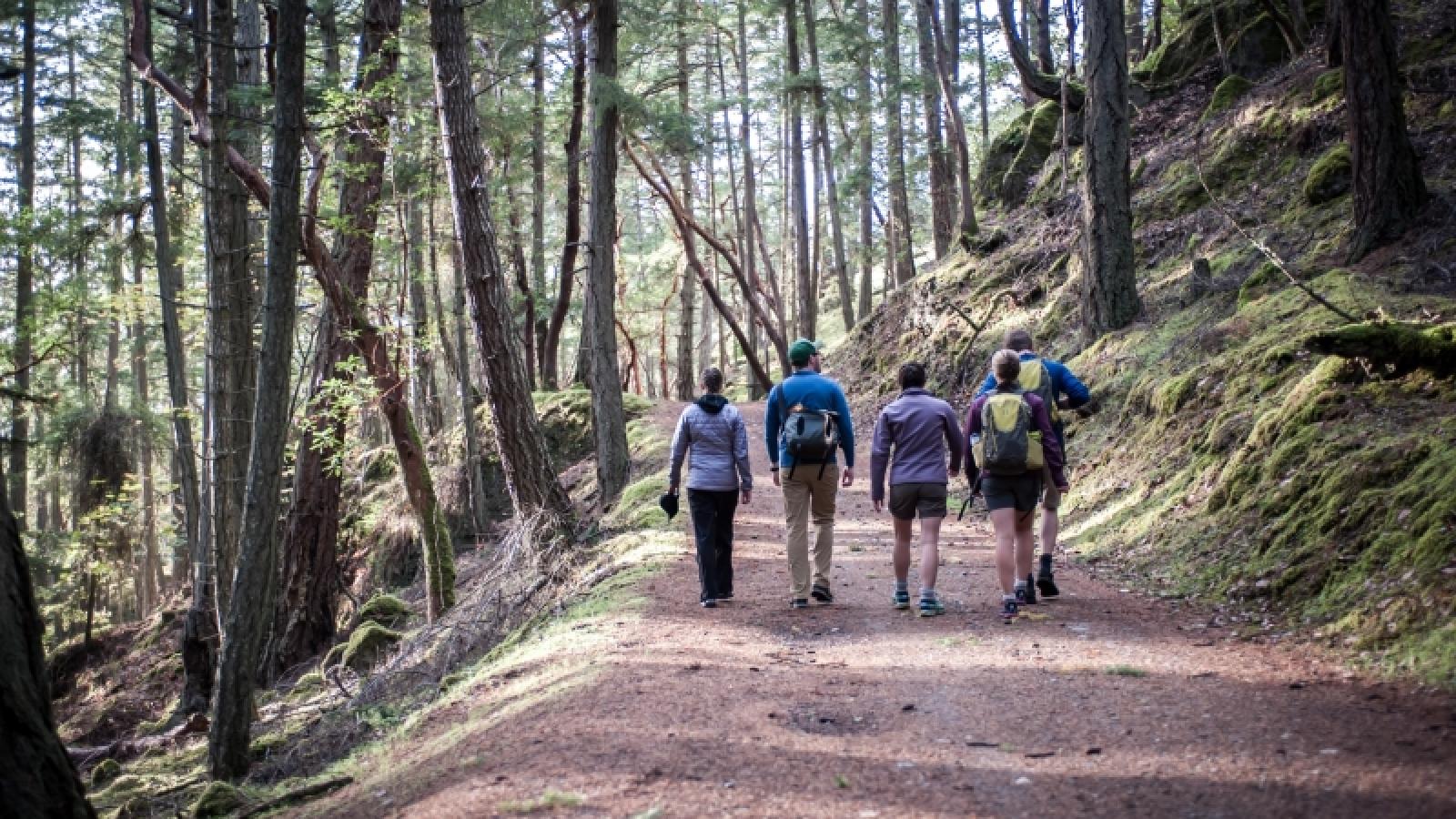 Guided San Juan Island Multi Sport Tours