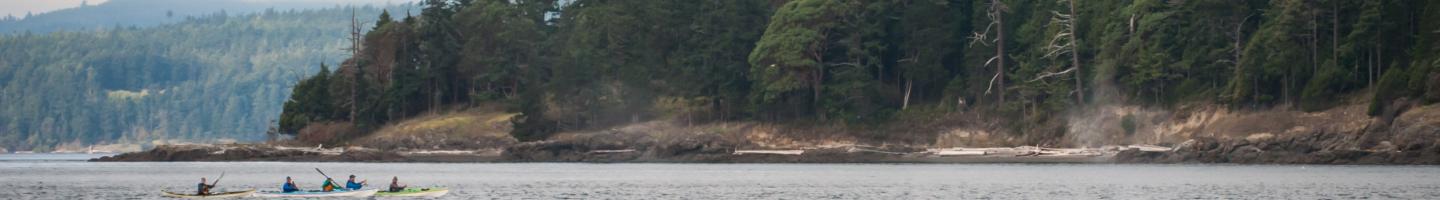 West Side Killer Whale Sanctuary Tour