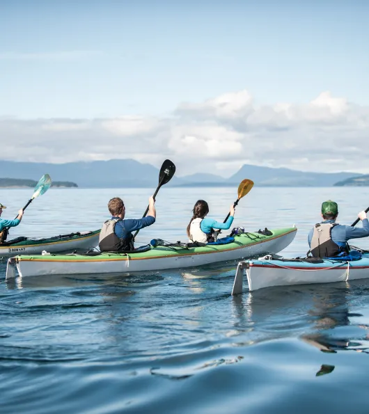 Sea Kayaking in the San Juan Islands