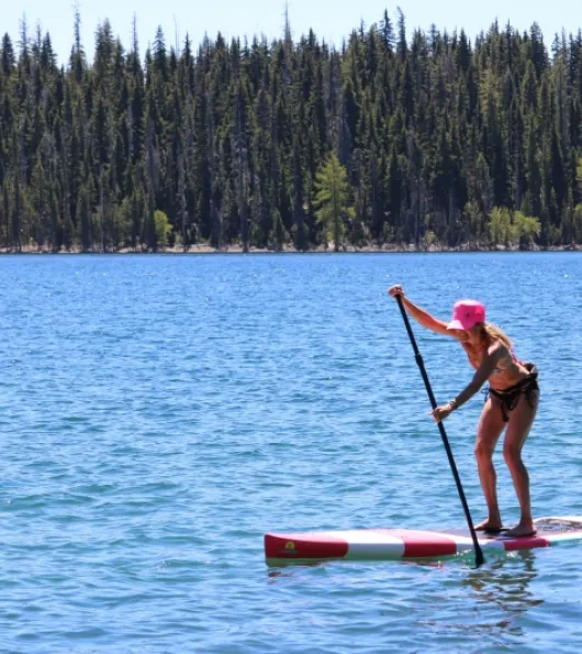 Stand-Up Paddle Board Rentals