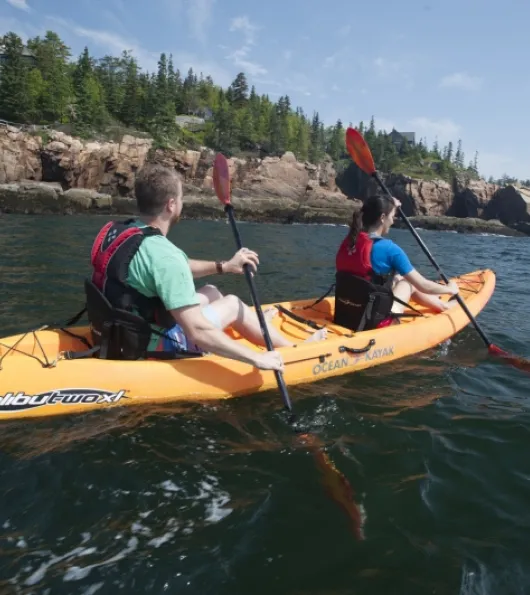 Sit-On-Top Kayak Rental