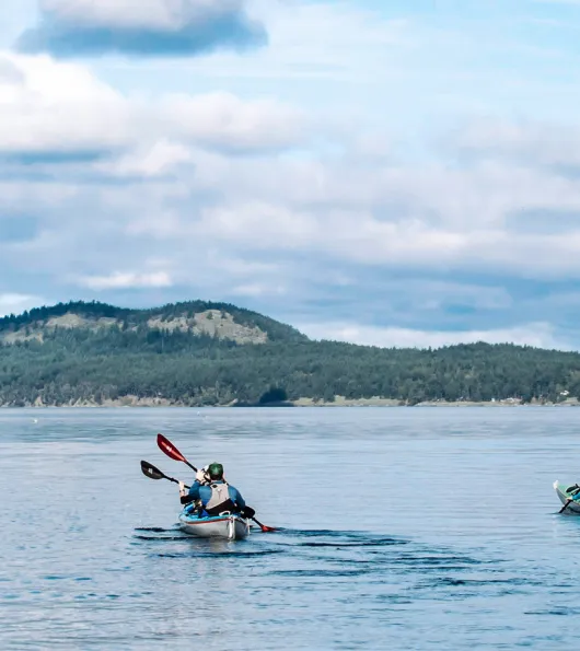 Sea Kayaking in the San Juan Islands