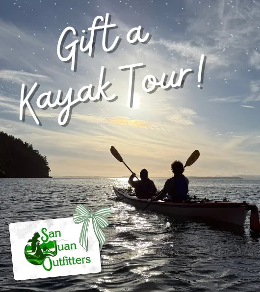 Holiday gift cards for kayak tours.